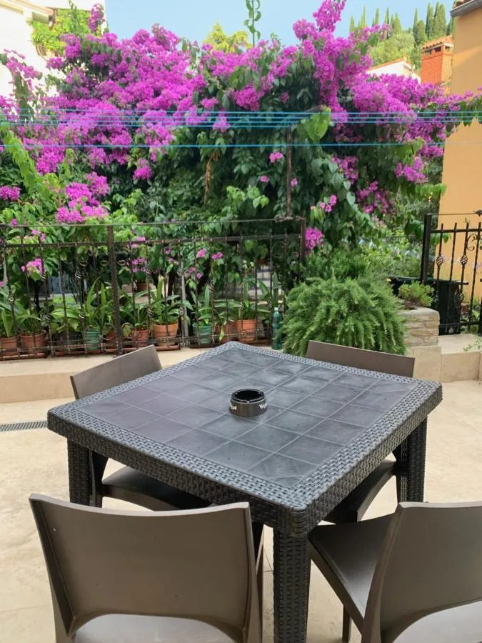 Terasa Eco Sea Residence z mizo in cvetočo bugenvilijo